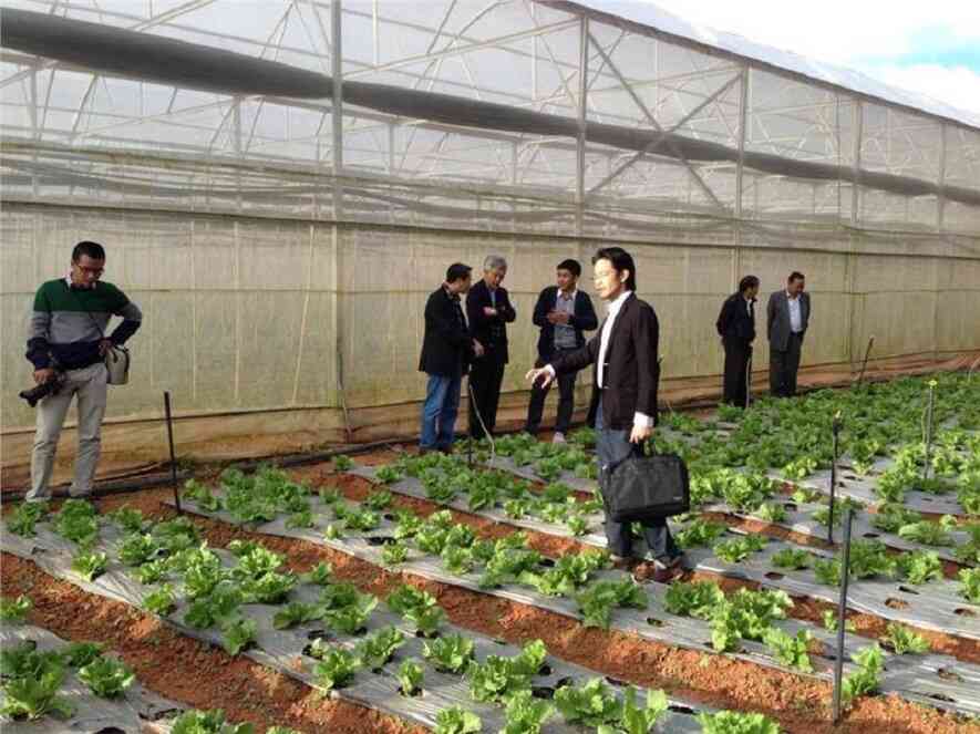 Đơn hàng kỹ năng đặc định Nhật Bản - Ngành nông nghiệp