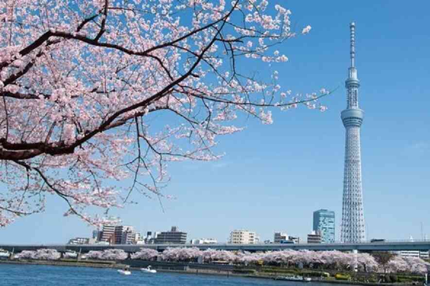 Đi XKLĐ Nhật Bản và 3 điều quan trọng mà bạn cần phải chuẩn bị