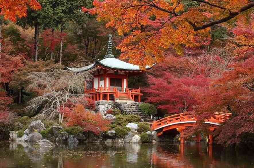 Đền Daigoji –  Địa điểm nổi tiếng mà bạn không nên bỏ lỡ khi đi XKLĐ Nhật Bản