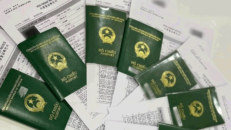 Visa E9 Hàn Quốc gồm những ngành nào?