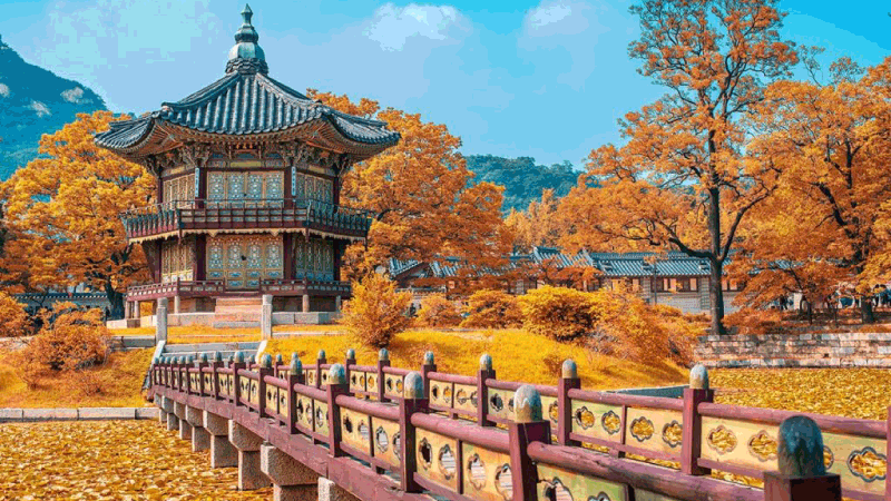 Chi phí đi lao động thời vụ Hàn Quốc