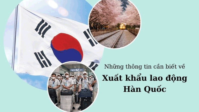 Đi lao động thời vụ Hàn Quốc là gì?