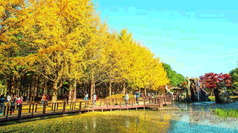 Điều kiện xuất khẩu lao động Hàn Quốc: Những điều bạn cần biết - thủ tục đi XKLĐ Hàn Quốc