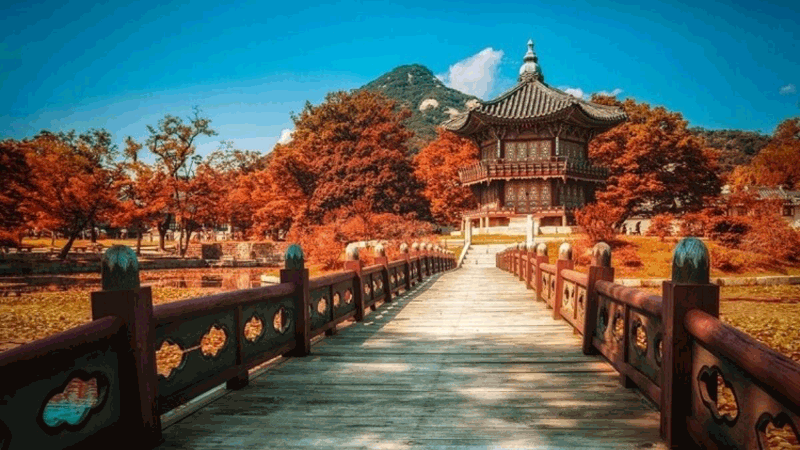 Giải đáp các câu hỏi thường gặp về thông tin về XKLĐ Hàn Quốc